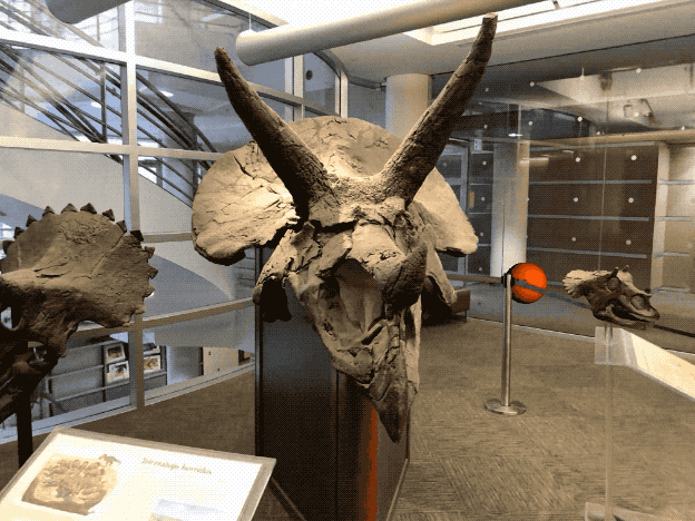 2D变3D，视角随意换，且不用3D建模，谷歌伯克利神还原高清立体感