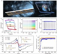 中国科大在铁电量子隧道结亚纳秒超快忆阻器研究中取得进展