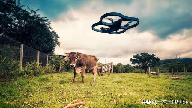 AI农业：百亿市场规模，但投入成本很高、人才缺乏