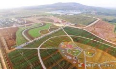 AI农业：百亿市场规模，但投入成本很高、人才缺乏