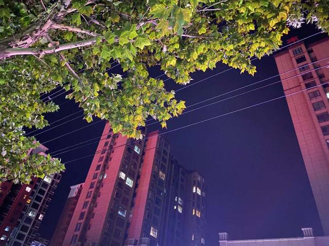 iPhone11 Pro Max：我们明年见！