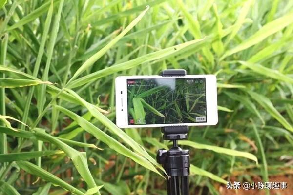 在农村做电商，怎么做成功率会更高，4个实用技巧，可以了解一下