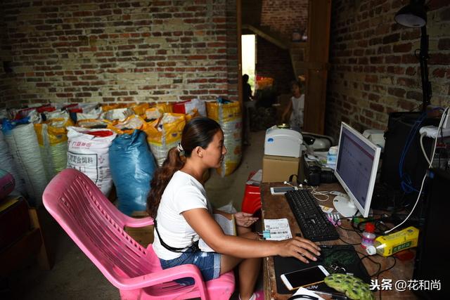 十年电商老卖家告诉你，新手开店，淘宝、京东、拼多多怎么选