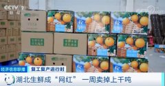 太抢手！湖北这类“网红”产品，一周卖掉超1400吨！