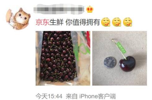 疫情期间，你还吭哧吭哧去超市买菜？京东：我来承包你的菜篮子