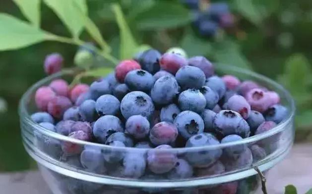 兄弟，我为什么不支持你做农业电商？