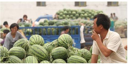 兄弟，我为什么不支持你做农业电商？