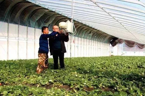 对不起、我要辞职了！跟华为种地了