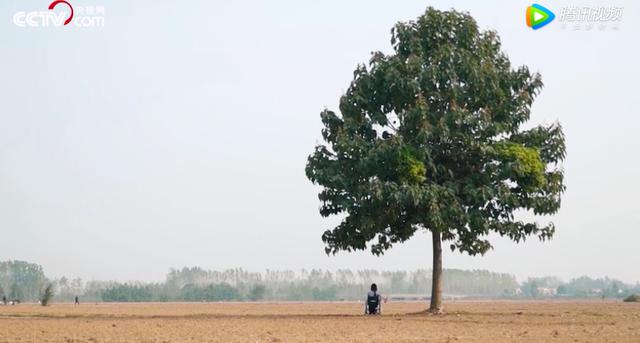 拿到阿里云客服工号的那一刻：“世界，真的把我当正常人了”