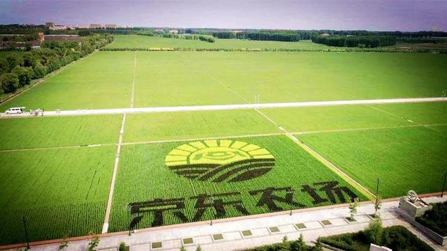 疫情之下，腾讯、阿里、京东加力农业，传递了哪些重要信号？