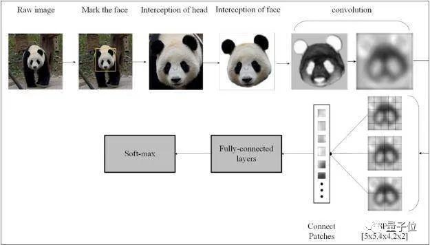 AI养熊猫，先从刷脸开始