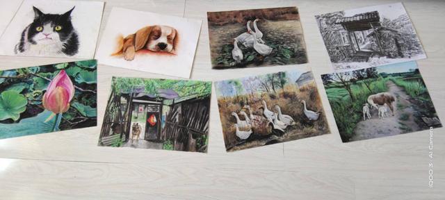 iQOO 3 体验：一专多能哪能样样精通