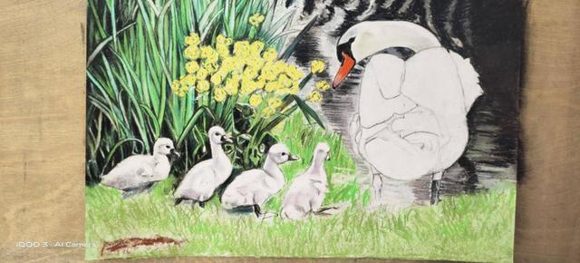 iQOO 3 体验：一专多能哪能样样精通