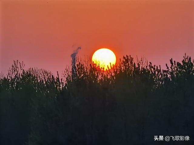 体验荣耀30，一句话：好漂亮！二句话：真爱她！三句话：娶回家！