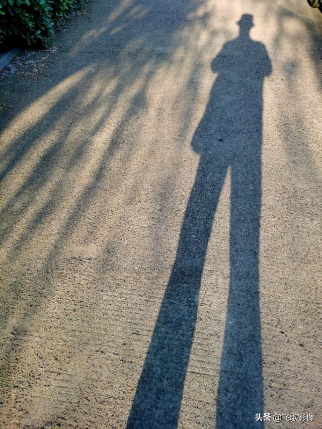 体验荣耀30，一句话：好漂亮！二句话：真爱她！三句话：娶回家！