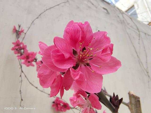 生而强悍的5G性能强机，vivo全新旗舰iQOO 3深度体验