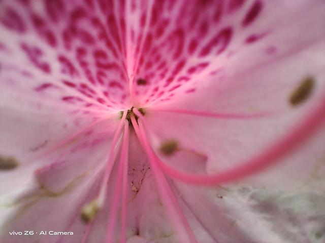 5G 时代的续航小能手，vivo Z6 评测