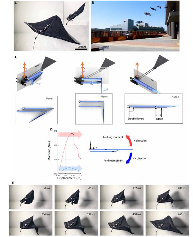 瓢虫机器人登上《Science》头条！未来可进行搜索侦查等任务