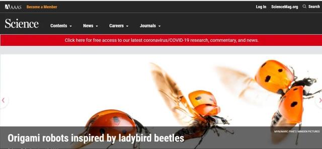 瓢虫机器人登上《Science》头条！未来可进行搜索侦查等任务