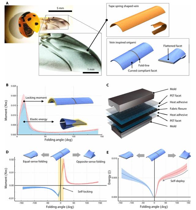 瓢虫机器人登上《Science》头条！未来可进行搜索侦查等任务