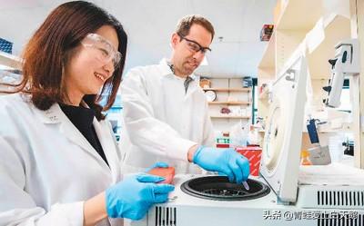 美国开始慌了!大批人才集体返华,西方:一直在替中国培养人才