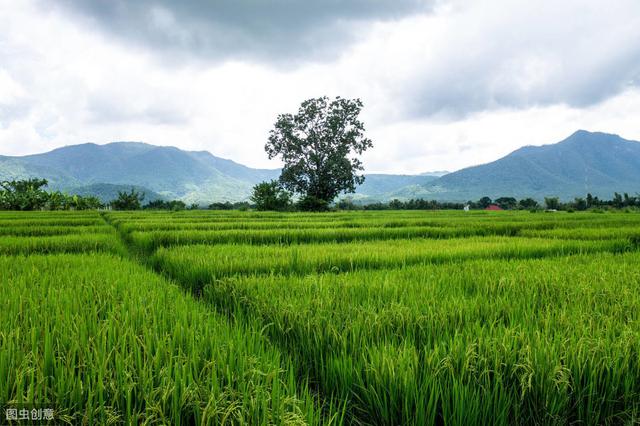 未来的创业风口、商机红利在哪里？蒋昊：农村+电商