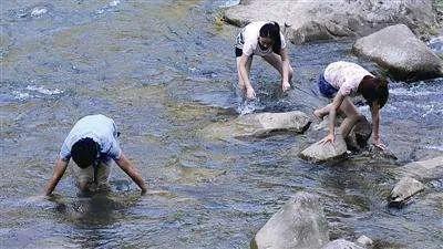 拼多多试水直播电商半年，现在怎么样了？|海豚谈直播