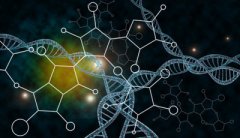 区块链脚本 这些区块链基础概念要知道