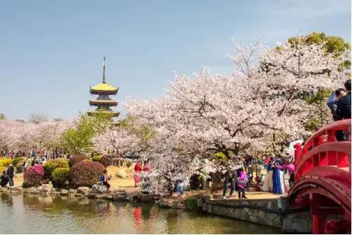 90后网约车司机不堪压力跳楼身亡，让人深思，如何正确的投资