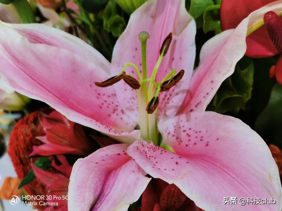 荣耀30 Pro评测：这款全能旗舰用了就不想换了