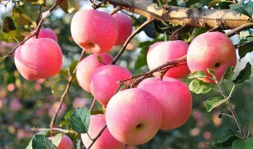 传统实体店该如何转型升级？才能迎来发展的“春天”