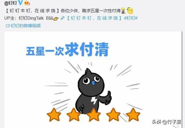 钉钉求生欲如此强烈？卑微求饶，萌中带着几分无奈