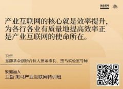 卫哲：我为什么要重仓产业互联网？