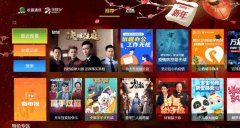 更大屏，更护眼 华数联手阿里推出“钉钉电视版”