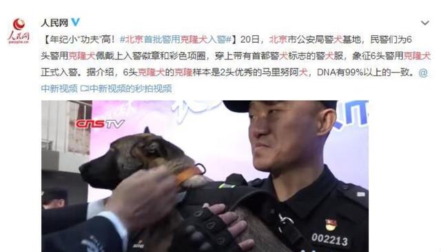 外骨骼技术突破 负载50公斤续航五小时 中国科技造福世界