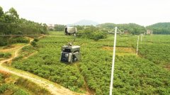 智慧物流快线助力商务部、国家邮政局解决难题