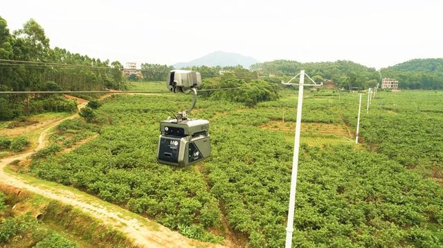 智慧物流快线助力商务部、国家邮政局解决难题
