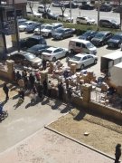 京东在未来几年能不能超越阿里成为中国第一大网购平台？