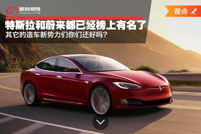 特斯拉和蔚来都已经榜上有名了，其它的造车新势力们你们还好吗？