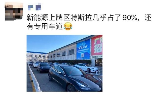 特斯拉车主的冰火两重天：排队维权VS排队上牌