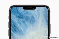 iPhone 12系列依然有刘海！iOS14 揭示12 Pro 刘海改革性变小+边框变窄！