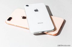 代码泄密：iPhone 9Plus将搭A13处理器，5.5寸+Touch ID，3月31日于官网开卖？