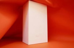 我们好像在哪里见过？ realme X大师版洋葱