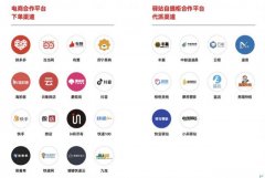 “快递黑马”极兔上位，成拼多多重点扶持伙伴，能否突破淘系包围