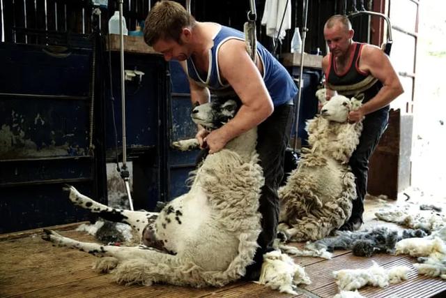 你的电脑已沦为大厂的「肉鸡」，互联网精神是如何被用来作恶的！