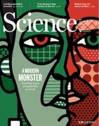 由《大都会》到《西部世界》，我们在凝视、也被人工智能凝视着