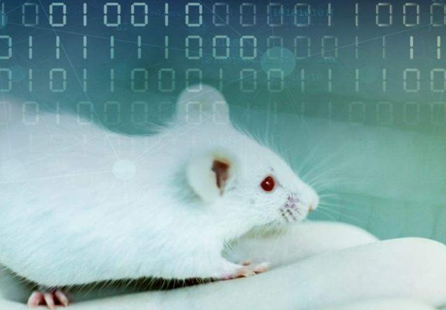 陈根：人工神经网络和你的大脑有什么区别？