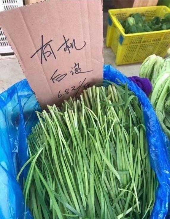 要做“迪斯尼+COSTCO”的拼多多，再被美国录入“恶名市场”名单