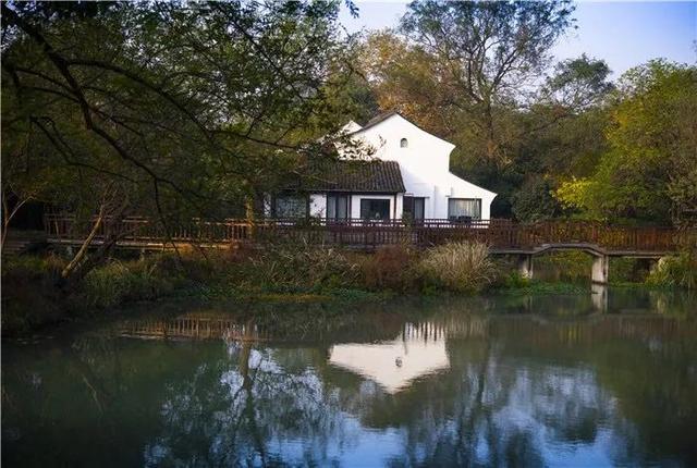 那些从阿里辞职去开民宿的人，后来都怎么样了？