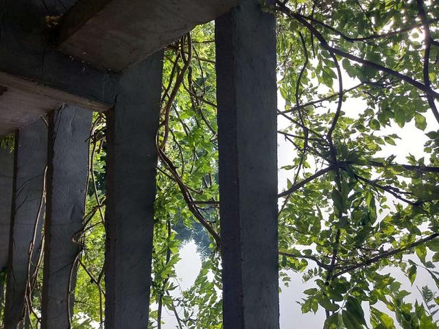 这次和2008年的不一样:年轻人更难了